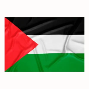 Palestine Flag