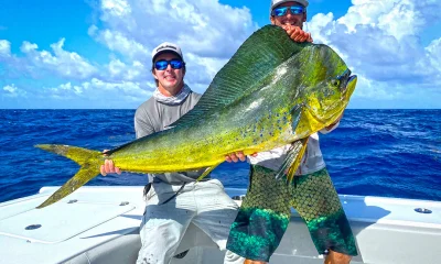 Mahi Mahi: The Marvel of the Ocean