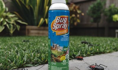 bug spray