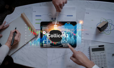 Collice61: A Unique Digital Platform for Creators and Learners