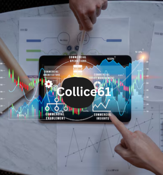 Collice61: A Unique Digital Platform for Creators and Learners