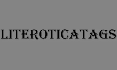 What Are LiteroticaTags?