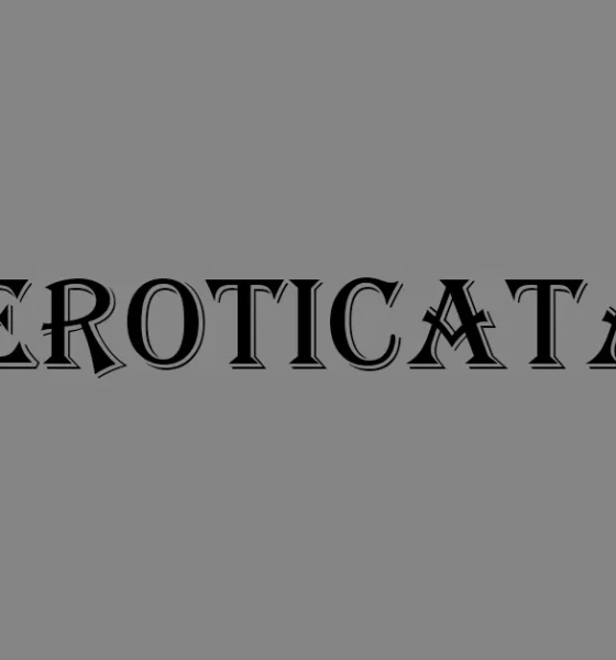 What Are LiteroticaTags?